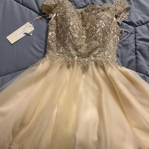 NWT Beautiful Champagne color formal/ prom dress